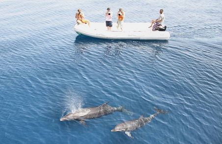 HEPCA 2011 Review - Red Sea Dolphin Project 