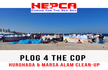 Plog 4 COP