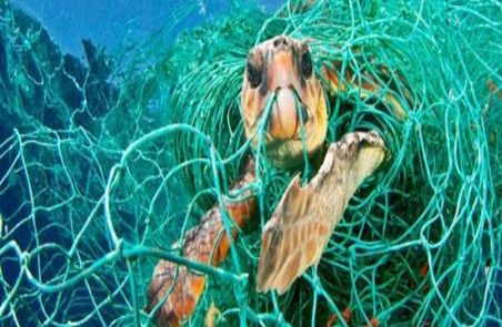 HEPCA launches campaign to recover lost fishing nets (ghost nets)