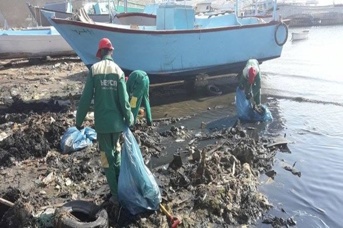 Fish Market Clean up