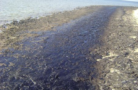 Hurghada Oil Spill 