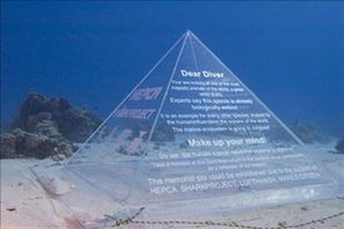 Shark Memorial Site in the Red Sea 
