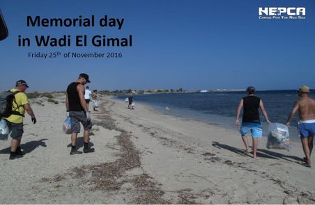 Wadi EL Gimal memorial cleanup 