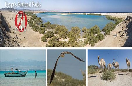 Victory for Red Sea Conservation – Ras Hankorab, Abu Ghusun, Sharm el Luli, Marsa Abu Mad not for Sale! 